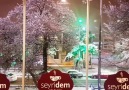 Seyridem Cafe ve Restaurant est ... - Seyridem Cafe ve Restaurant