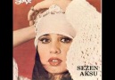 SEZEN AKSU - TÜKENECEĞİZ (1984)