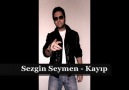 Sezgin Seymen - Kayıp ( Tarkan 2010 )