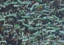 2014-2015 SEZONU ŞAMPİYONU "BÜYÜK KONYASPOR TARAFTARI" HERKES SE...