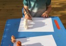 Shadow tracing activity for children