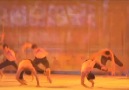 Shaman Dans Tiyatrosu  Türkiye Engelliler Vakfı yararına sahnede!