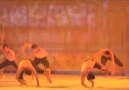 Shaman Dans Tiyatrosu  Türkiye Engelliler Vakfı yararına sahnede!