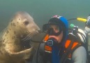 Sharing a special connection at sea!Credit @sealdiver (Ben Burville)