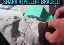 Shark Repellent Braclet