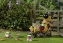 Shaun The Sheep - 35. Bölüm