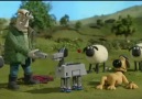 Shaun The Sheep - 37. Bölüm