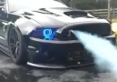 Shelby Mustang COBRA