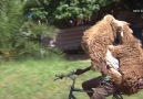 Shepherd Travels with Sheep on Bike