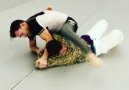 Shoulder lock by & - Kimonos Brazilian Jiu Jitsu