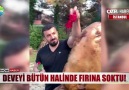 Show Ana Haber - ETÇİNİN ŞOVU TARTIŞMA YARATTI! Facebook