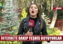 Show Ana Haber - SAĞLIKTAKİ TEHLİKE GOOGLE DOKTORLUĞU Facebook