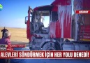 Show Ana Haber - YANAN EKMEK TEKNESİNE AĞLADI! Facebook