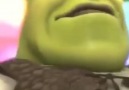 Shrek is love