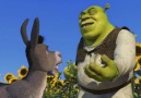 Shrek Moments - ''Ogres Are Like Onions''