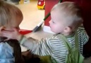 Sibling Rivalries from the JukinVideo Vault