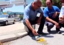 Sıcak havadan bunalan şoför esnafı asfaltta yumurta kırıp yedi!