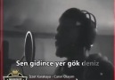 Şifalı Bitkiler - Canım olayım..