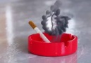 Sigara içmek sağlığa zararlıdır içmeyelim indirmeyelim oyuna gelneyin