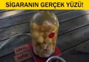 Sigaranın Gerçek Yüzüyle Tanışmak İster Misiniz