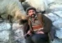 Siirt mamedi aşiretinden dengbej Ameciden bir parça