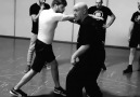 ( . Silat) - . - - - .VIDEO CREDIT Antonio Di Salvo