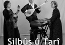 Silbus û Tari ~ Bervi min were (siir)