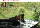 Şimdi Çamaşır zamanı