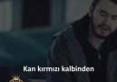 Simsiyahım farkım yok hiç geceden..