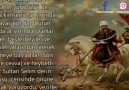 SİNA ÇÖLÜNDE GELEN YARDIM(paylaşmadan geçmeyiniz)