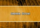 Sindirim Sistemi