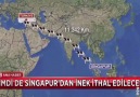 Singapurda ineği çok aradınız mı