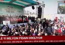 Sinop Haber - Cumhurbaşkanı Recep Tayyip Erdoğan Milli...