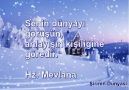 Şirinin Dünyası - mevlana Facebook