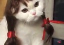 Sırma saçlım benim her halinle güzelsin sen