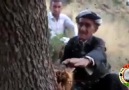 Şırnak silopi bespin hayat sayfası le 11 septembre 2017