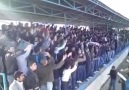 şırnak silopi maçı taraftar show