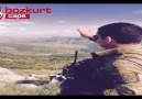 Şırnak'taki Bozkurtlar