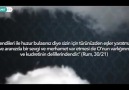 Sitare - Mevlid-i Nebi Haftası - SinevizyonDiyanet TV...