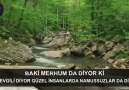 Sitare - SuVarlığıyla hayattır Yokluğuyla Ölüm......