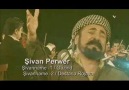 Sivan Perwer Ha Gula Mın 2013