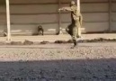 Siverekli Şaiir - Askerliği 18 gün yaparsanız olacağı bu...