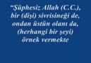 SİVRİSİNEĞİN ALLAH'I (C.C.) TESBİH ETMESİ