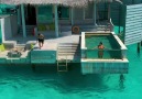 Six Senses Laamu In The Maldives & IG