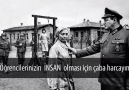 Sizce eğitimin işlevi ne olmalı