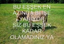 SİZE DİYORUM SİZE EŞŞEK SPASI OLMAYINyoutube link - KÜRT HALAY DÜNYASI