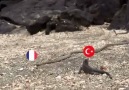 Siz Hepiniz Biz TEK ! ! REKOR KIRALIM !