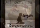 Sızı - Sevgilim Özür Dilerim