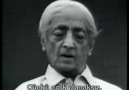 Siz Kimsiniz - Jiddu krishnamurti - s.a