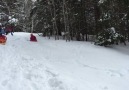 Sledding Fun